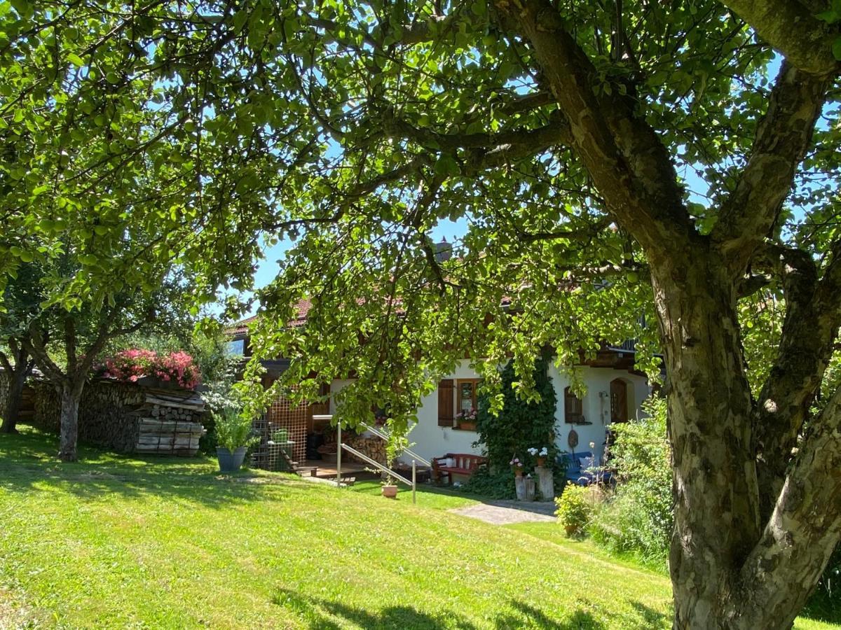 Haus Wiesengrund Frauenau Bagian luar foto