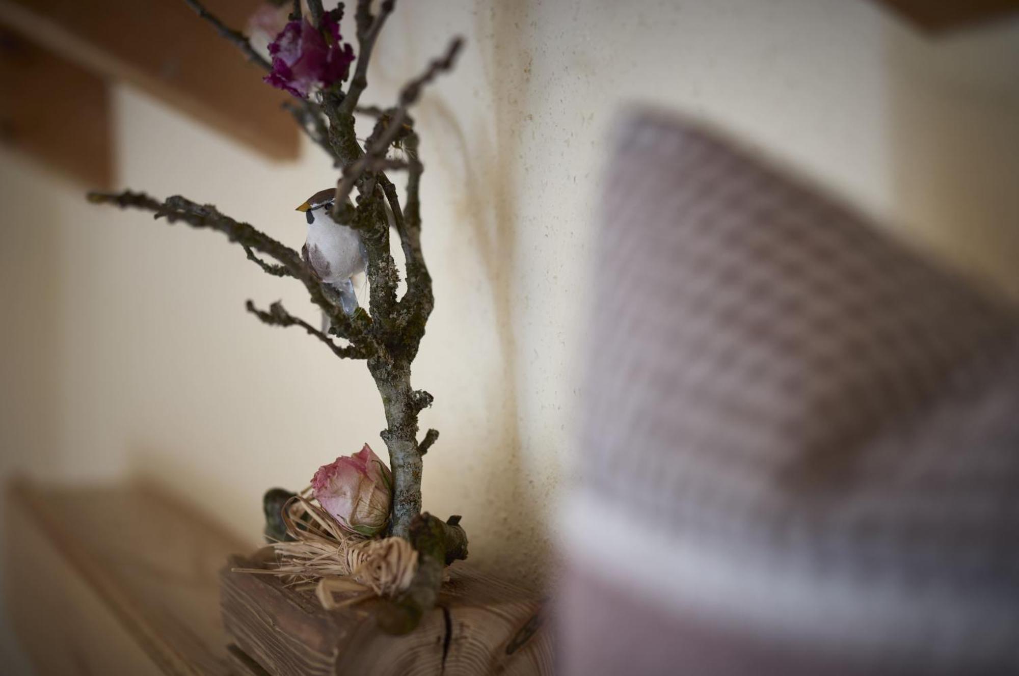 Haus Wiesengrund Frauenau Bagian luar foto